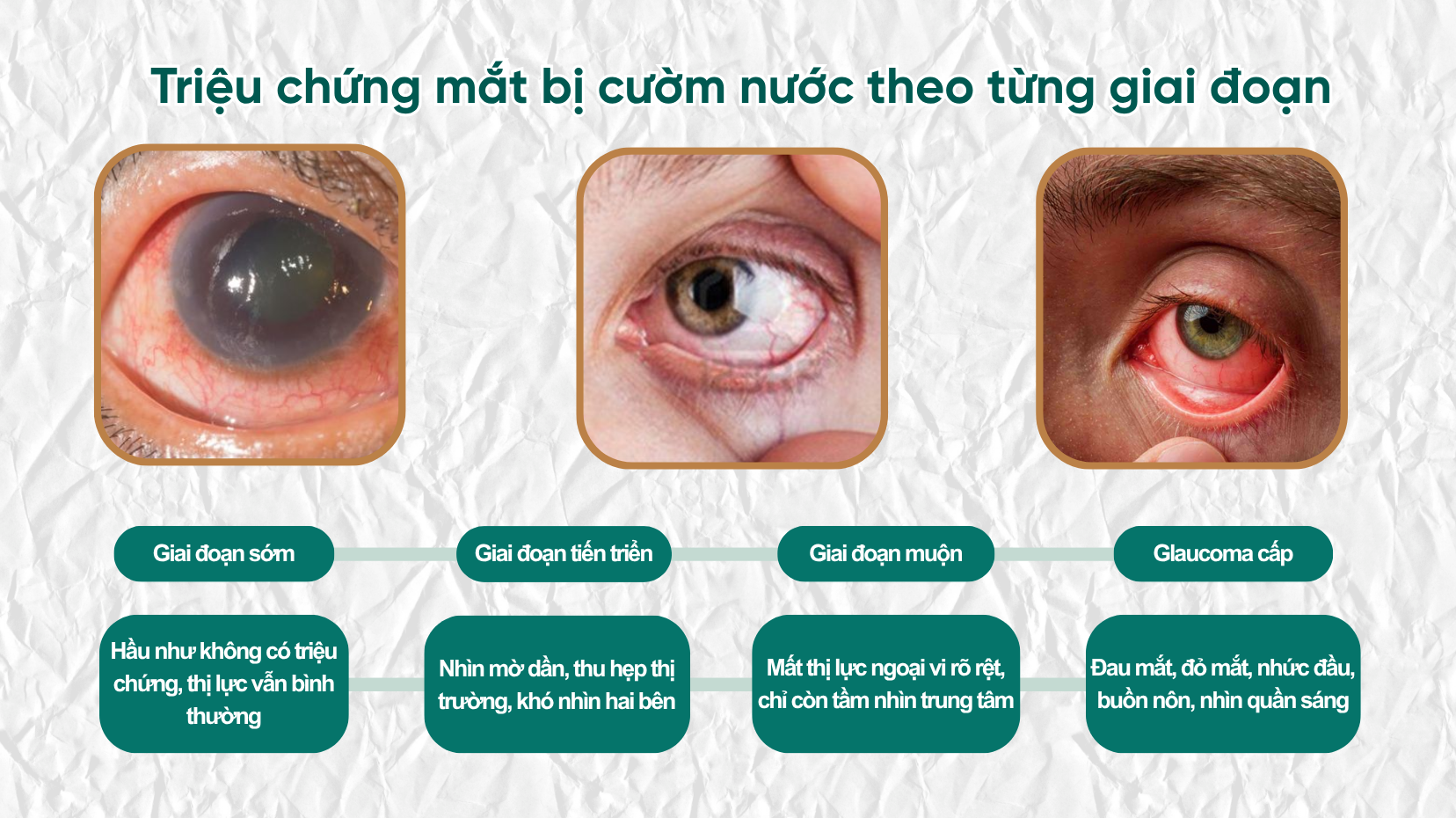 cuom-nuoc-01.png (1.67 MB)