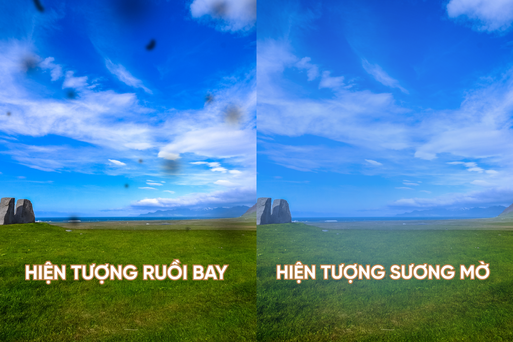 hien-tuong.png (4.96 MB)