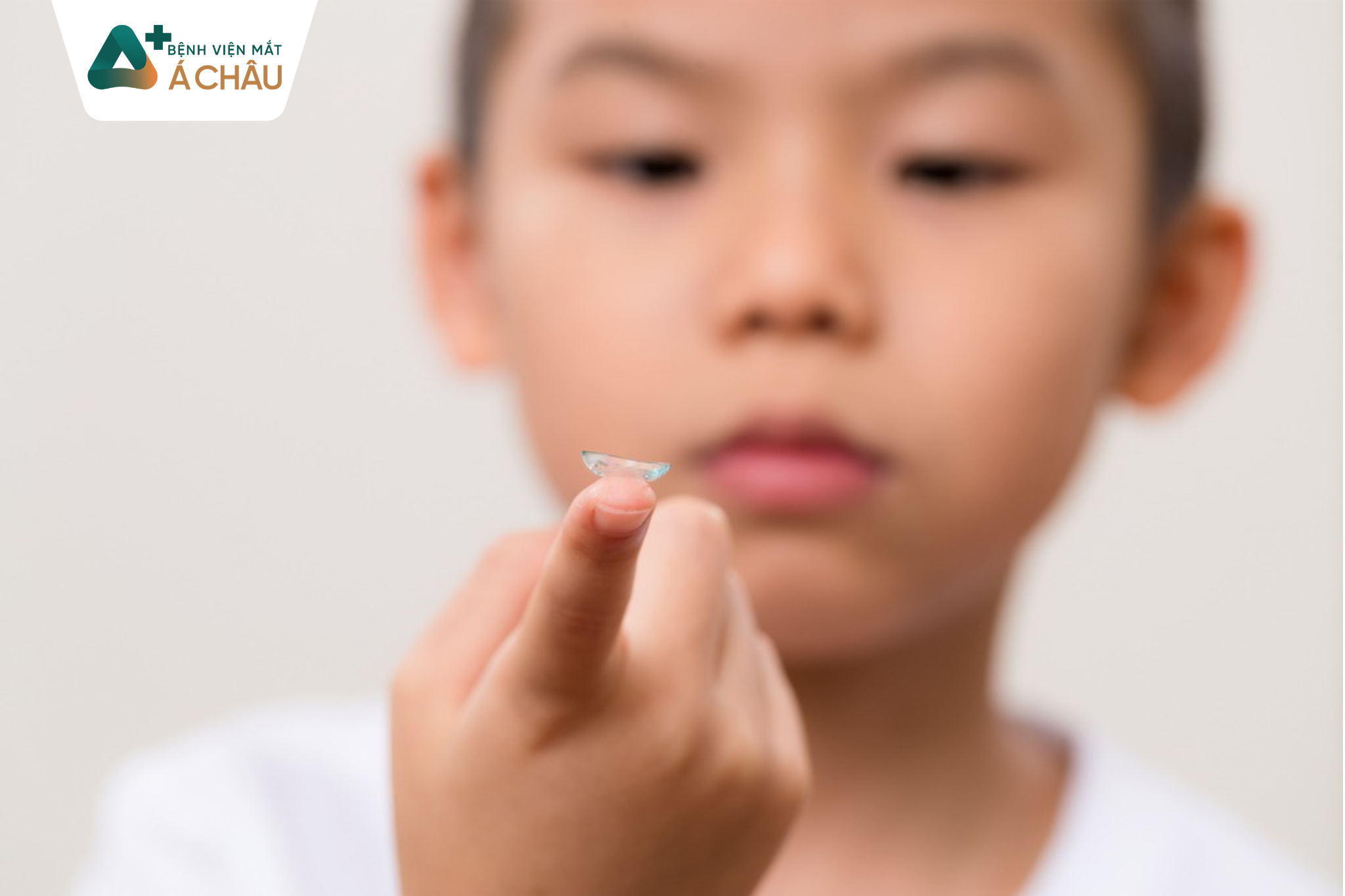 ortho-k.png (780 KB)